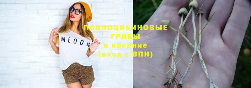 наркошоп  Бирюсинск  Галлюциногенные грибы Psilocybe 